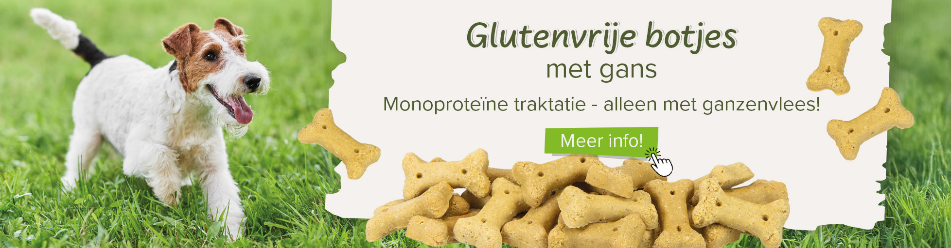 Koekjesbot met gans