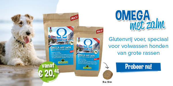 OMEGA met Zalm - MAXI