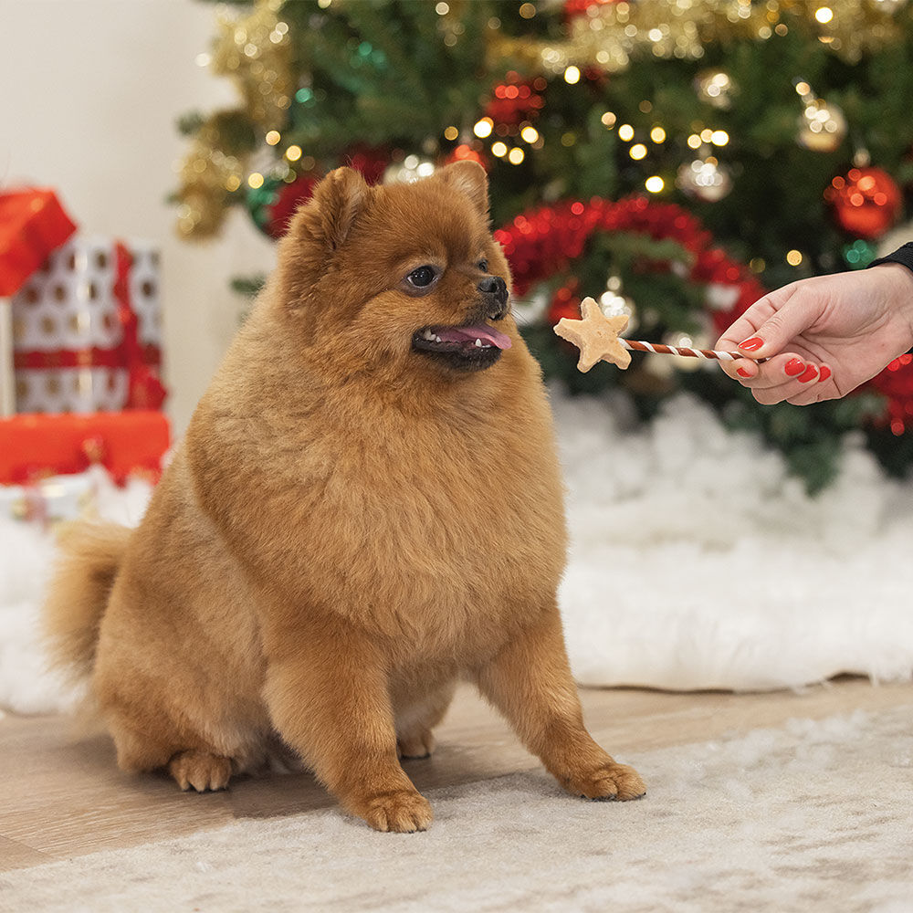 Hond Kauwsnack Toverstaven Afbeelding 2