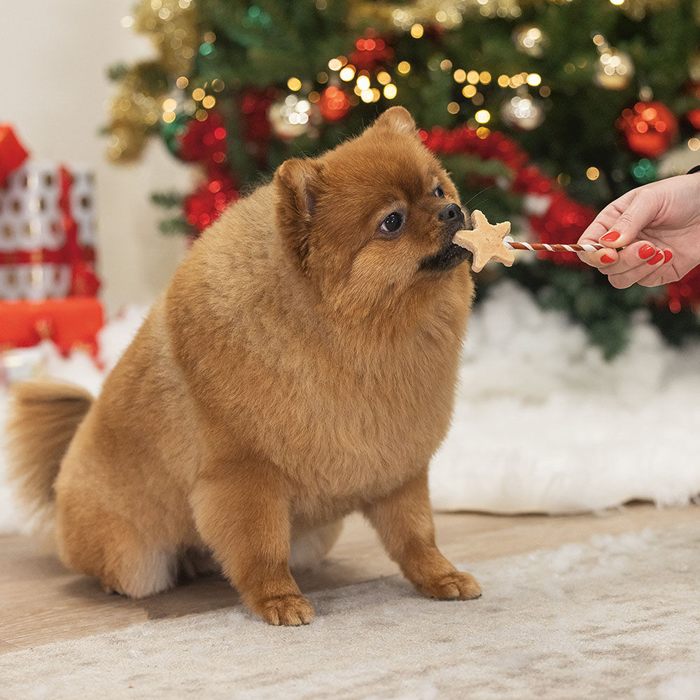 Hond Kauwsnack Toverstaven Afbeelding 3