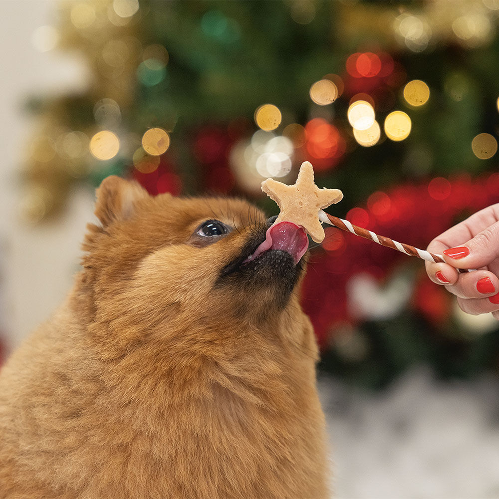 Hond Kauwsnack Toverstaven Afbeelding 4