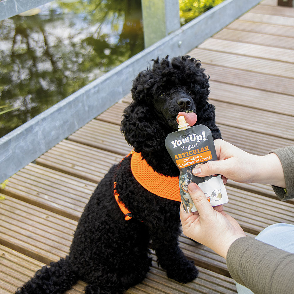 YowUp! Yoghurt voor honden Afbeelding 5