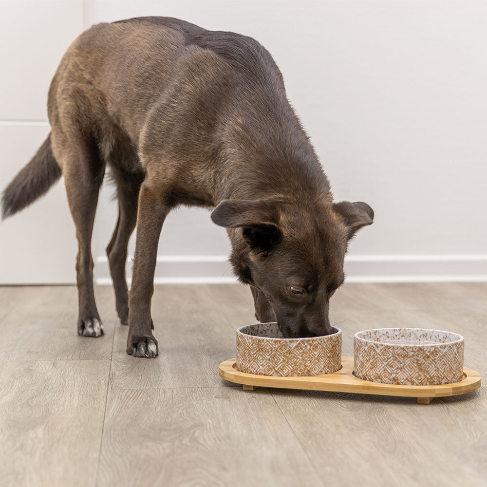 Honden-voerbakset keramiek & bambujs Afbeelding 2