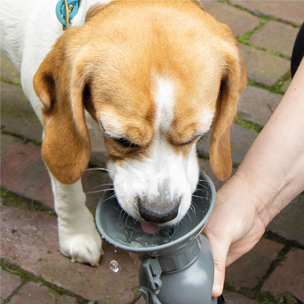 Drinkfles voor honden NIA Afbeelding 3