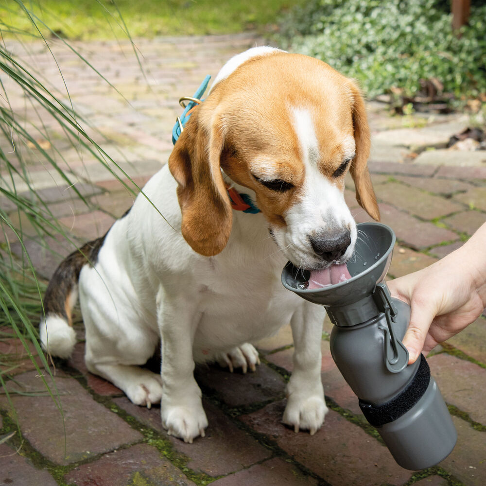 Drinkfles voor honden NIA Afbeelding 4