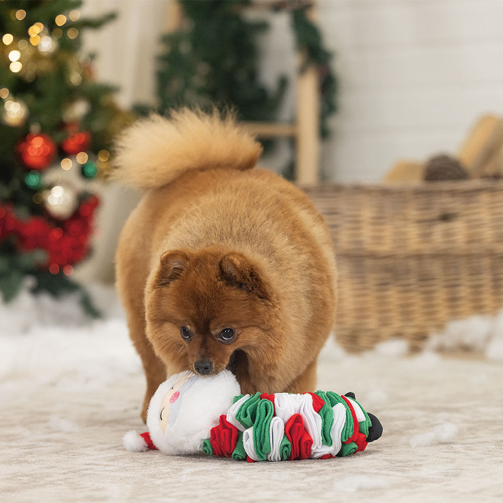 Snuffel Kerstman Klaus Afbeelding 3