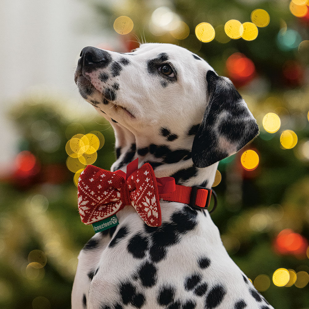 Kerststrik voor honden Afbeelding 4