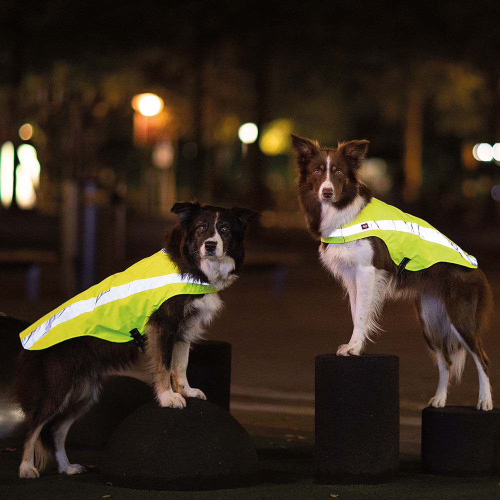 Trixie Veiligheidsvest voor honden, neongeel Afbeelding 4