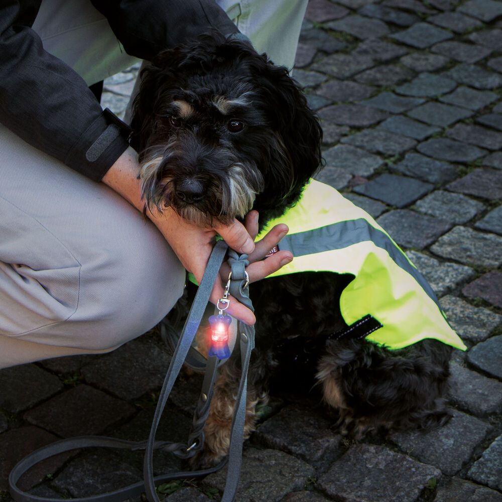 Trixie Veiligheidsvest voor honden, neongeel Afbeelding 5