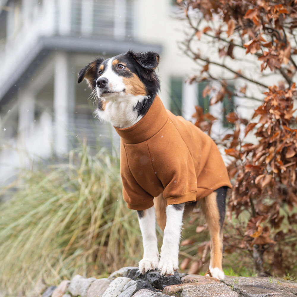 Sweater City Style Amsterdam Afbeelding 3