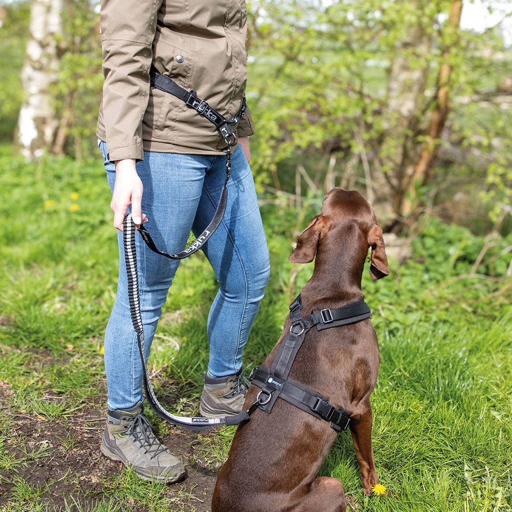 Rukka pets Hike belt+leash Afbeelding 5