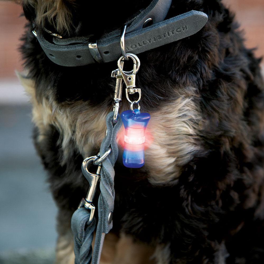 Drijvende Flasher voor honden Afbeelding 2