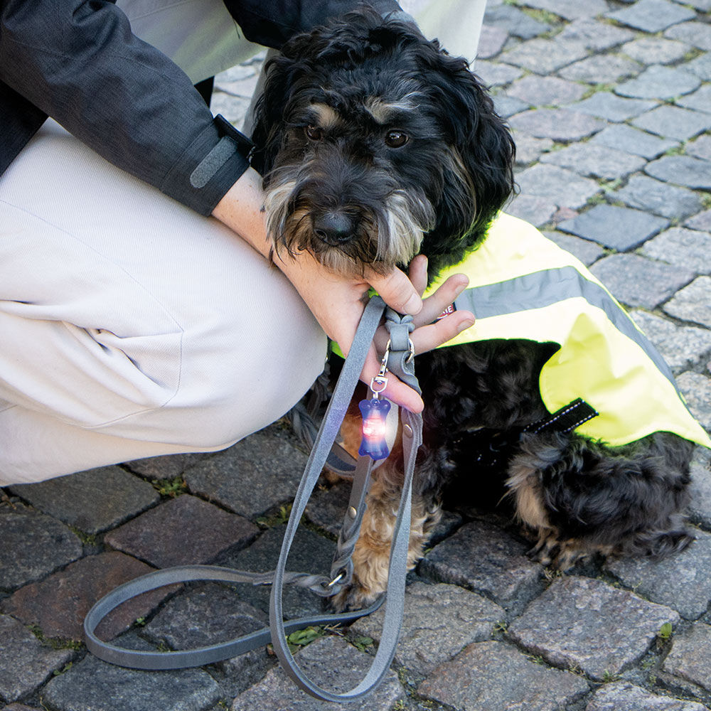 Drijvende Flasher voor honden Afbeelding 4