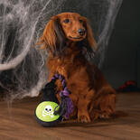 Halloween Pluche giffles met touw